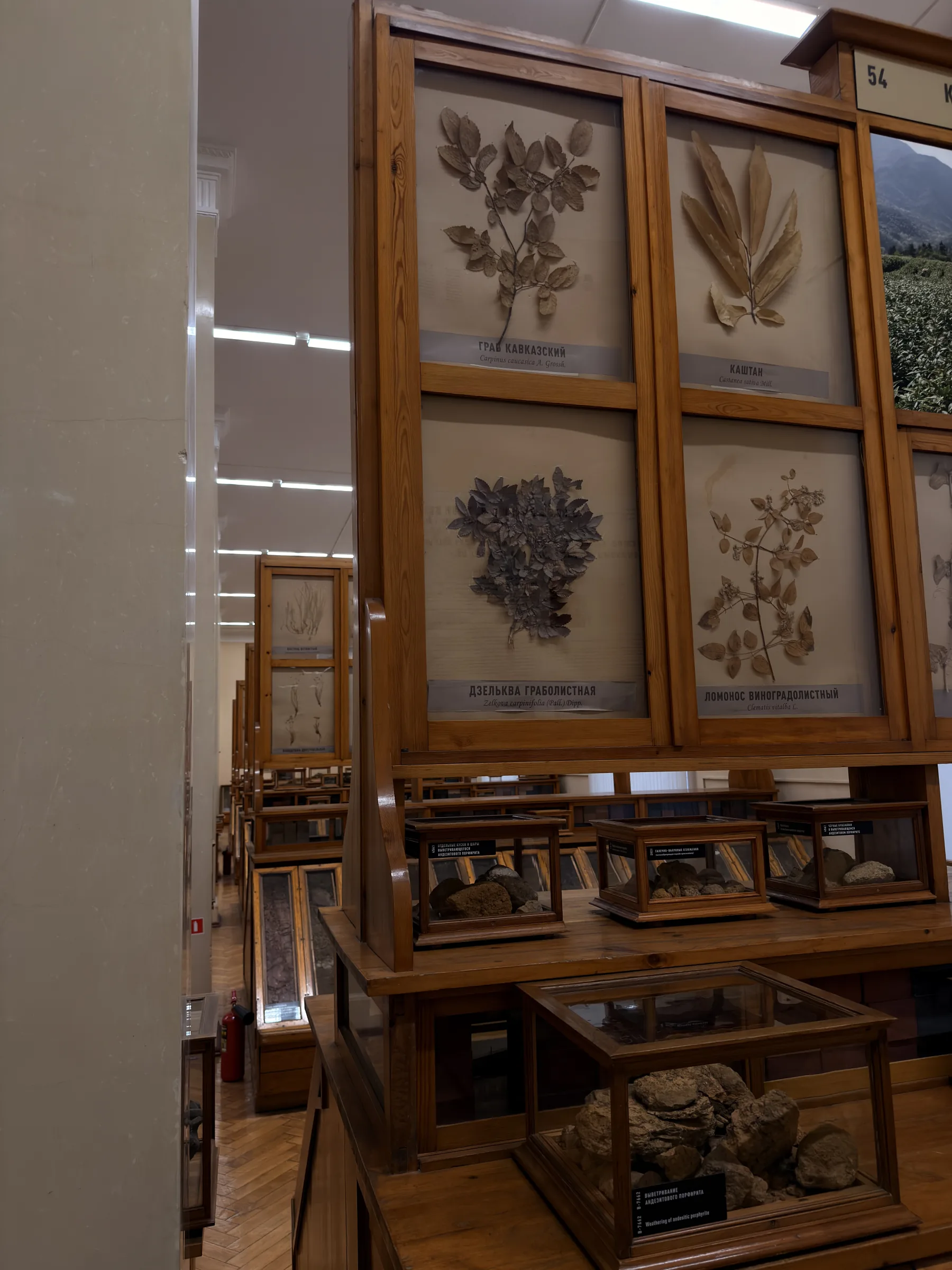 The herbarium collection at Timiryazev Academy