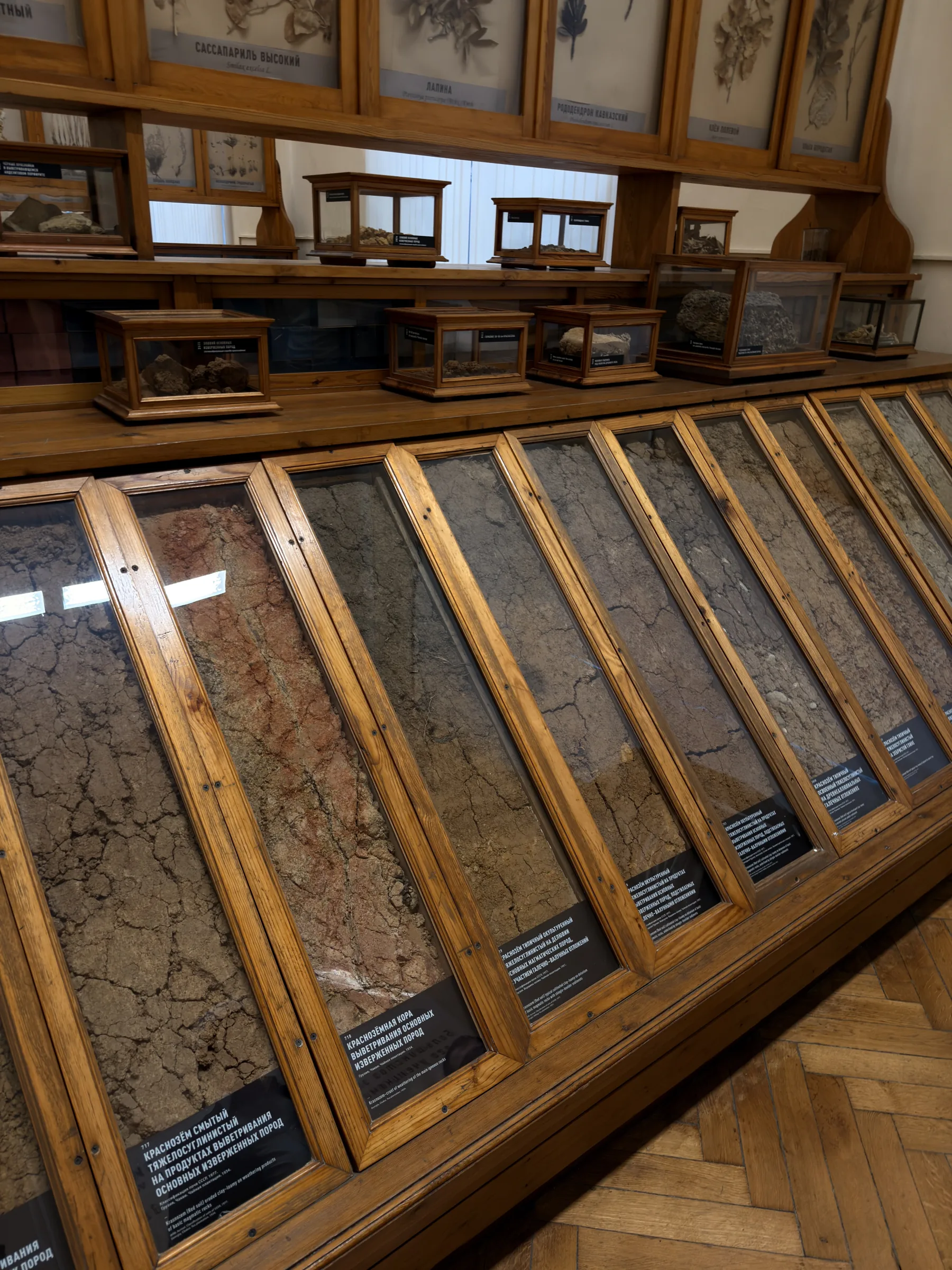 The soil collection at Timiryazev Academy